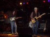 Webb Wilder and the Beatnecks